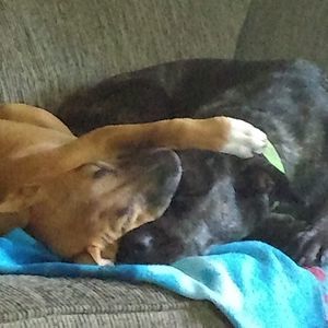 Meet your Posher, Heather